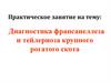 Диагностика франсаиеллеза и тейлериоза крупного рогатого скота