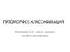Патоморфоз. Классификация