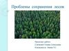 Проблемы сохранения лесов