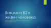 Витамин В2 в жизни человека