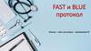 FAST и BLUE протокол