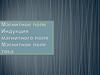 Магнитное поле. Индукция магнитного поля. Магнитное поле тока