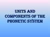 Units and components of phonetic system