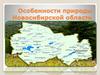 Особенности природы Новосибирской области