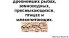 О древнейших рыбах, земноводных, пресмыкающихся, птицах и млекопитающих