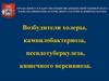 Возбудители холеры, кампилобактериоза, псевдотуберкулеза, кишечного иерсиниоза