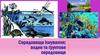 Середовища існування: водне та ґрунтове середовище
