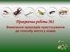 Виявлення прикладів пристосування до способу життя у комах