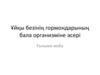 Ұйқы безінің гормондарының бала организміне әсері. Ғылыми жоба