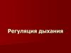 Регуляция дыхания