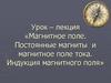 Магнитное поле. Постоянные магниты и магнитное поле тока. Индукция магнитного поля