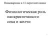 Пищеварение в 12-перстной кишке. Физиологическая роль панкреатического сока и желчи