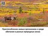 Приспособление живых организмов к среде обитания в разных природных зонах