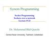 System Programming. Socket Programming Sockets over a network. Lecture #23