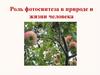 Роль фотосинтеза в природе и жизни человека