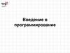 Введение в программирование