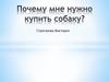 Почему мне нужно купить собаку?