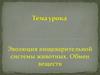 Эволюция пищеварительной системы животных. Обмен веществ