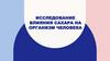 Исследование влияния сахара на организм человека
