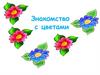 Знакомство с цветами