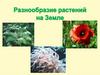 Разнообразие растений на Земле