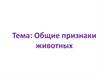 Общие признаки животных