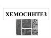 Хемосинтез. Сергей Николаевич Виноградский (1856-1930)