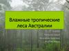 Влажные тропические леса Австралии
