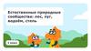 Естественные природные сообщества: лес, луг, водоём, степь. 3 класс