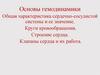 Основы гемодинамики. Общая характеристика сердечно-сосудистой системы и ее значение