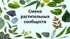 Смена растительных сообществ Презентация