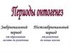 Эмбриональный период. Постэмбриональный период