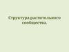 Структура растительного сообщества