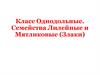 Класс Однодольные. Семейства Лилейные и Мятликовые (Злаки)