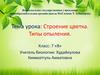 Строение цветка. Типы опыления