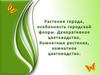 Растения города, особенность городской флоры. Декоративное цветоводство. Комнатные растения, комнатное цветоводство