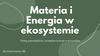 Materia i energia w ekosystemie