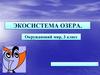 Экосистема озера