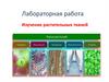 Изучение растительных тканей. Лабораторная работа