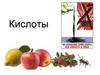 КИслоты