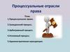Процессуальные отрасли права