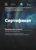 Сертификат. Шаблон