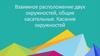 Взаимное расположение двух окружностей, общие касательные. Касание окружностей