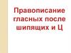 Презентация гласные после шипящих и ц