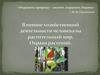 Влияние хозяйственной деятельности человека на растительный мир. Охрана растений
