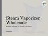 Steam Vaporizer Wholesale