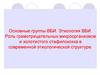 Основные группы ВБИ. Этиология ВБИ. Роль грамотрицательных микроорганизмов и золотистого стафилококка в современной структуре