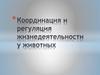 Координация и регуляция жизнедеятельности у животных