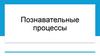 Познавательные процессы