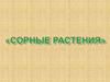 Сорные растения